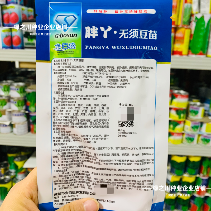 胖丫无须豌豆种子豌豆苗种子四季豌豆尖种籽清香芽苗菜云南豌