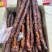 农家纯肉香肠（麻辣味五香味广味）