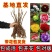 牡丹花苗，观赏牡丹，菏泽基地发货，重瓣花，保品种现要现挖