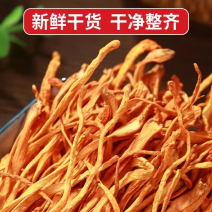 虫草花新货虫草花无硫虫草花规格齐全大量有货支持一件代发