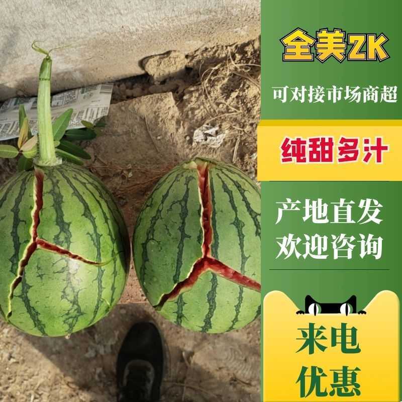 小糖丸小吊瓜，小西瓜，小糖丸西瓜，冰糖子小吊瓜，整车出货
