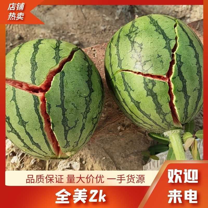 小糖丸小吊瓜，小西瓜，小糖丸西瓜，冰糖子小吊瓜，整车出货