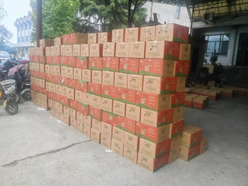 山东红富士苹果，产地直供，一件代发，商超供货，可开票