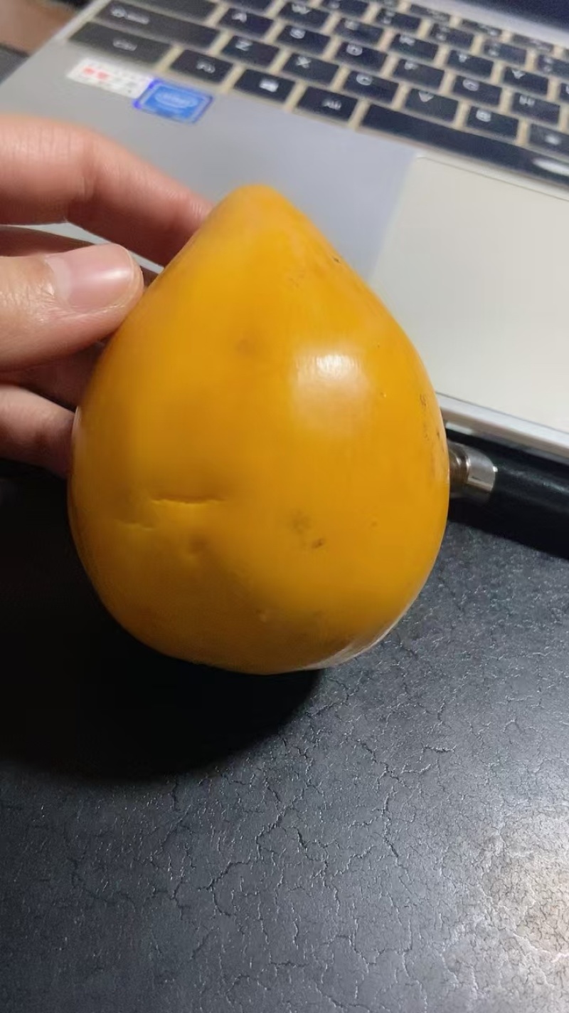 鸡蛋果/蛋黄果支持一件代发