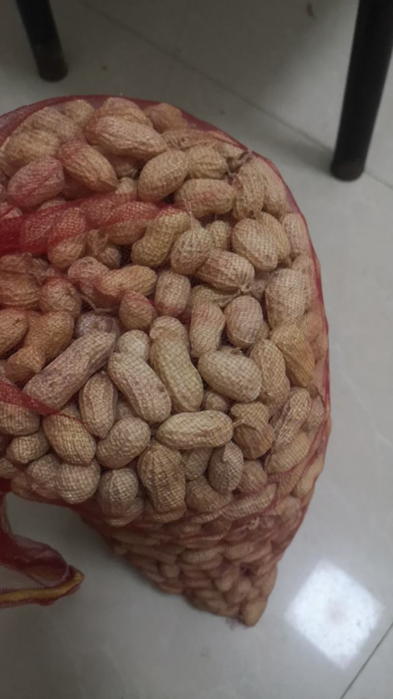 新鲜湿花生带壳正阳花生电商一件代发批发市场