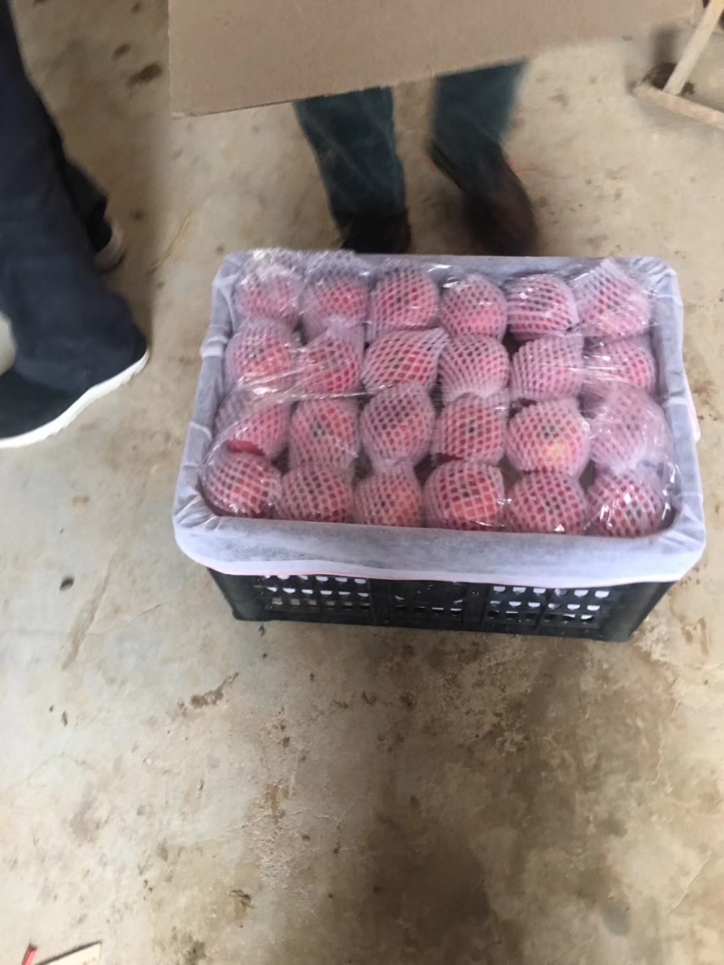 红富士，水晶红富士，陕西红富士苹果批发，纸加膜红富士苹果