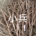 小叶千斤拔药材产地一手货源大量供应