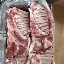 羔羊排