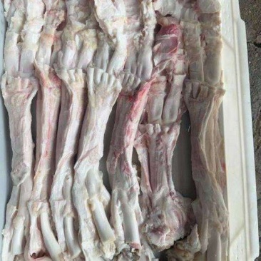牛蹄筋
