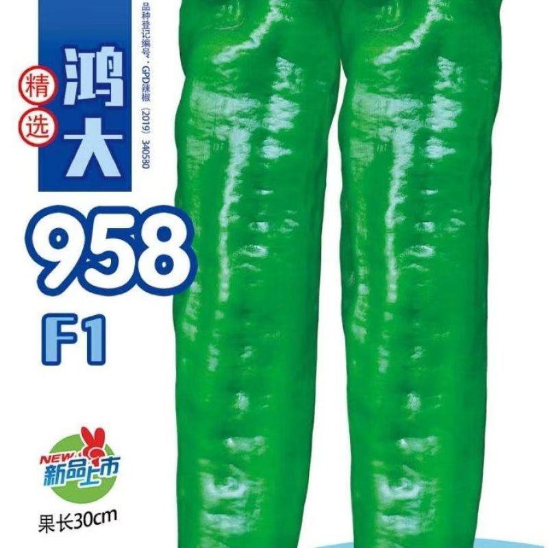 辣椒种子鸿大958粗长大果薄皮牛角椒结果密膨大快速