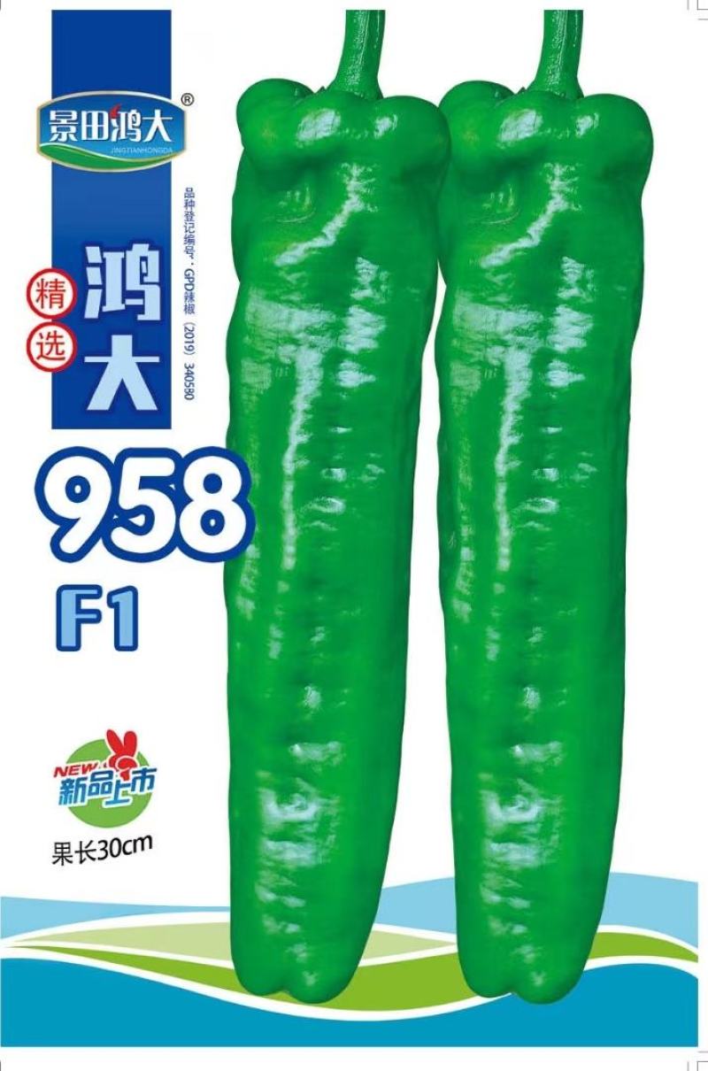辣椒种子鸿大958粗长大果薄皮牛角椒结果密膨大快速