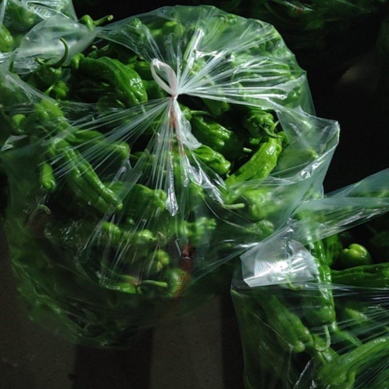 精品青椒