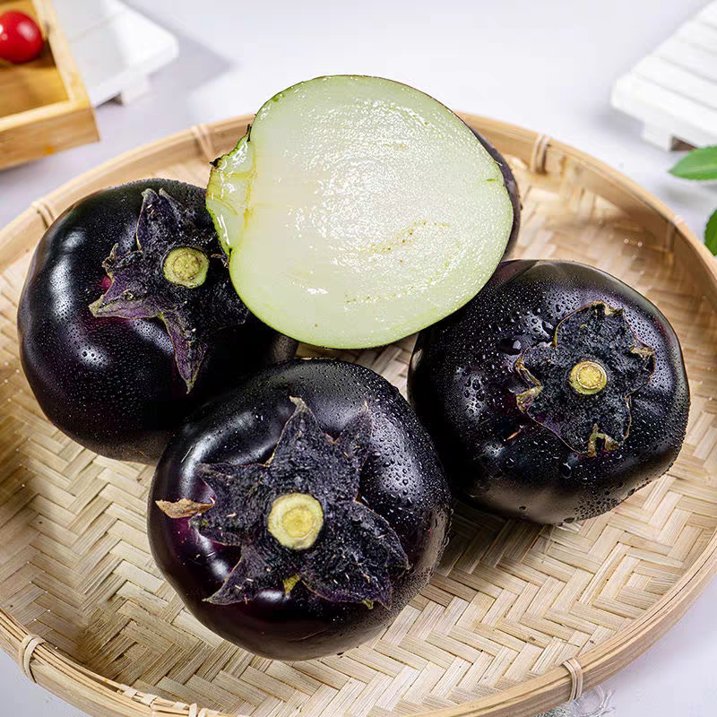 紫光圆茄茄子河北饶阳