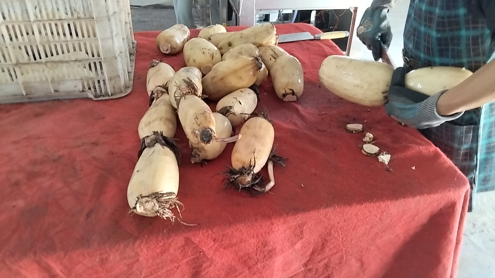 白莲藕营养成分图解