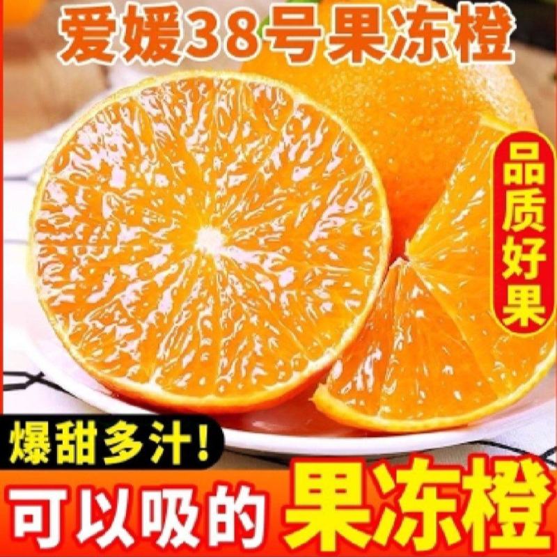 爱媛橙，爱媛38大量上市，各种规格，欢迎大家采购