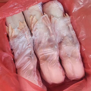 冬天**（大雁鹅）厂家直接发货品质**质量稳定