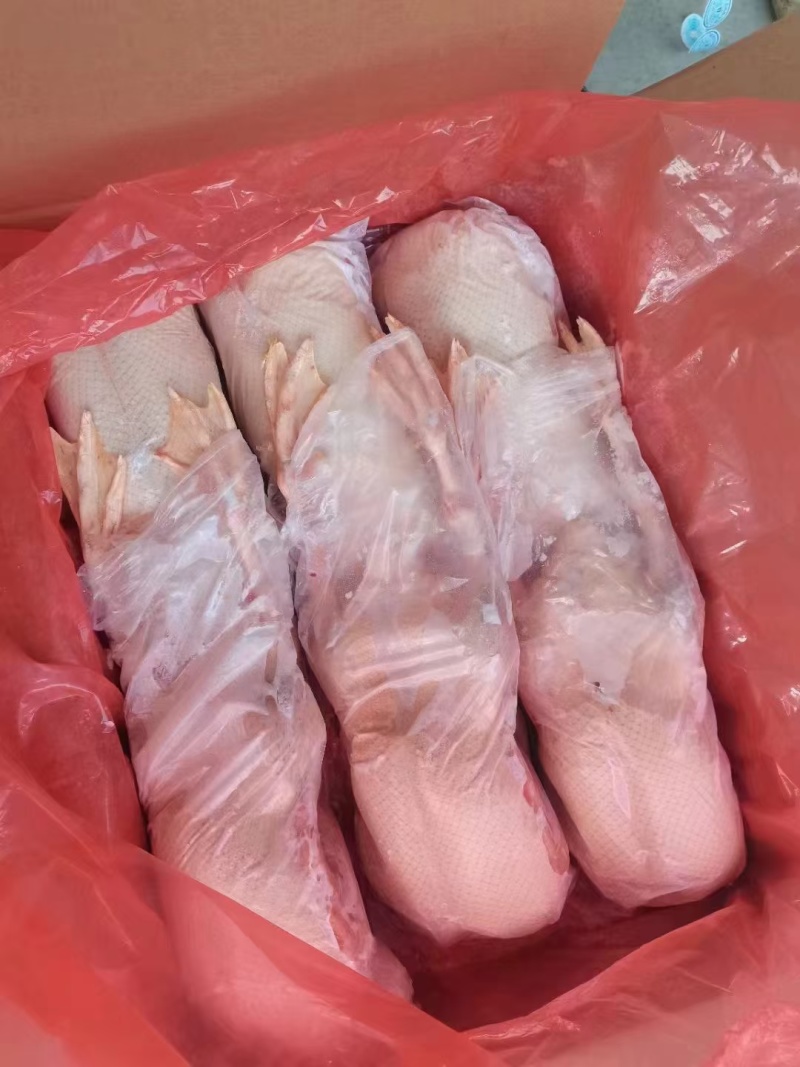 冬天**（大雁鹅）厂家直接发货品质**质量稳定