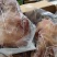 厂家去骨熟牛头肉跑江湖地摊散装整箱冻全熟牛脸商用批发黄牛