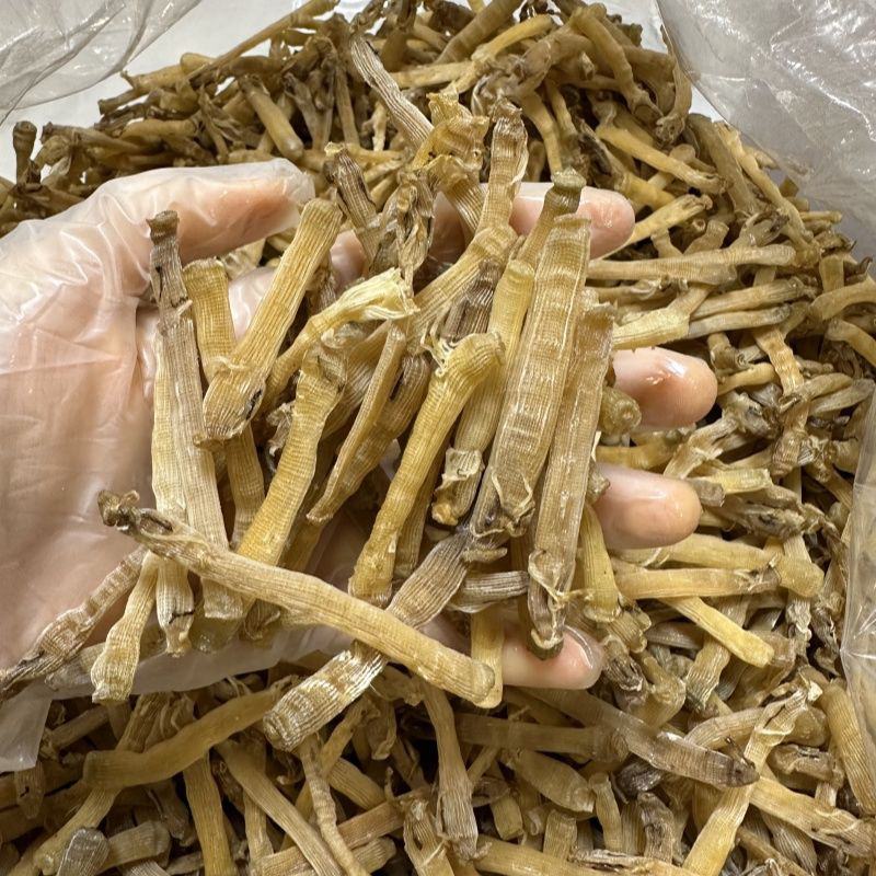 黄金沙虫干无沙足干沙虫农家新鲜海肠子干货煲汤煮粥包邮