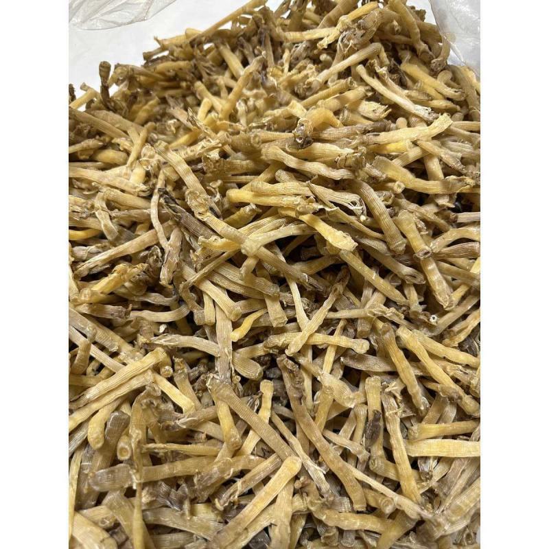 黄金沙虫干无沙足干沙虫农家新鲜海肠子干货煲汤煮粥包邮