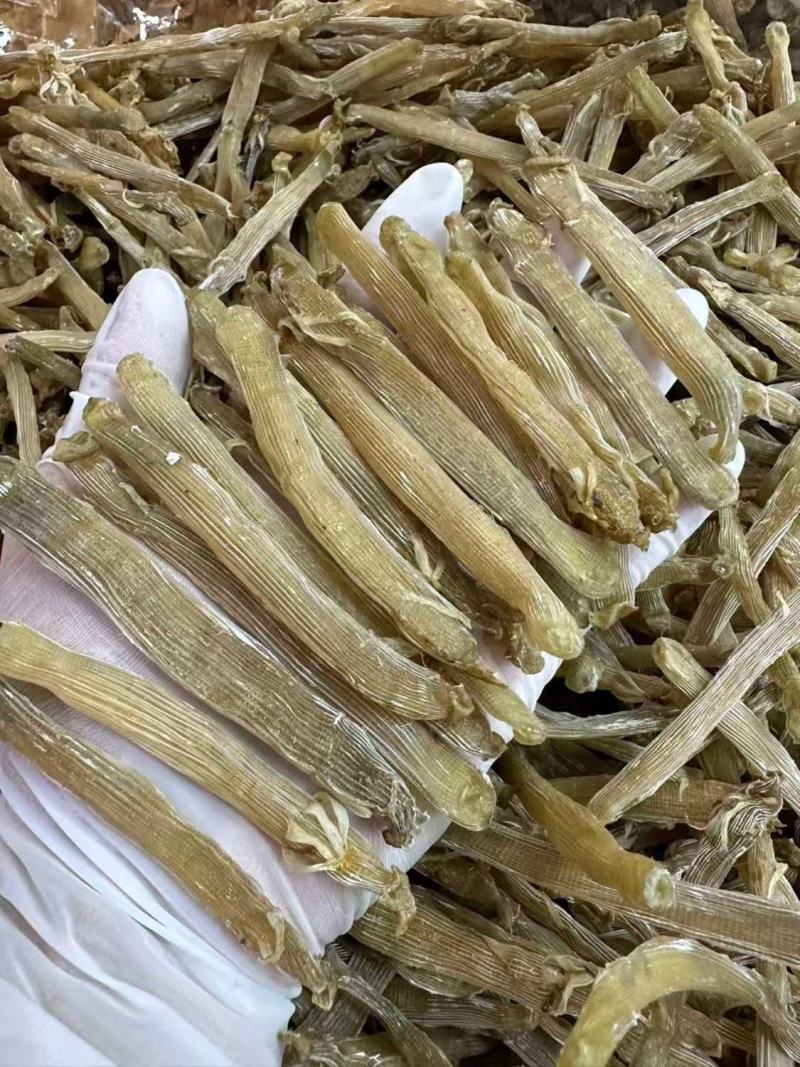黄金沙虫干无沙足干沙虫农家新鲜海肠子干货煲汤煮粥包邮
