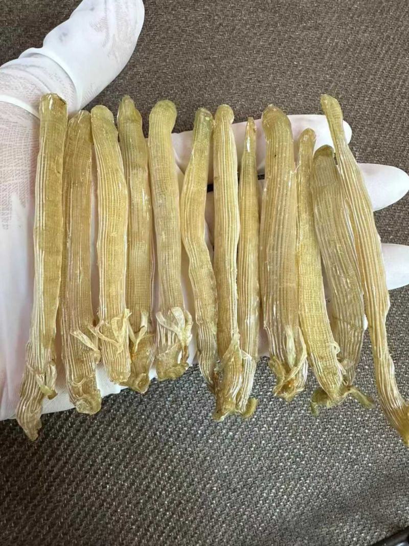 黄金沙虫干无沙足干沙虫农家新鲜海肠子干货煲汤煮粥包邮