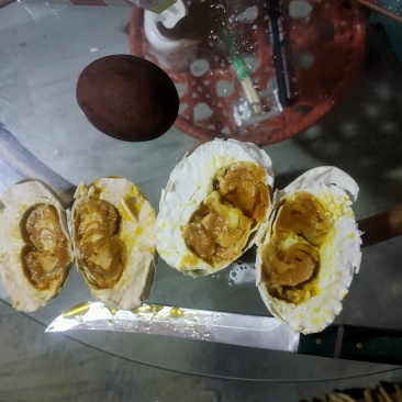 双黄破壳蛋