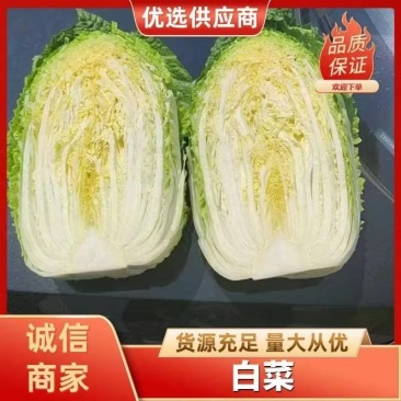 精品青杂三号，大量上市对接商超市场食堂欢迎联系