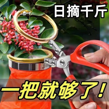 新款摘花椒神器花椒采摘专用神器防刺手套剪花椒剪刀电动摘枣