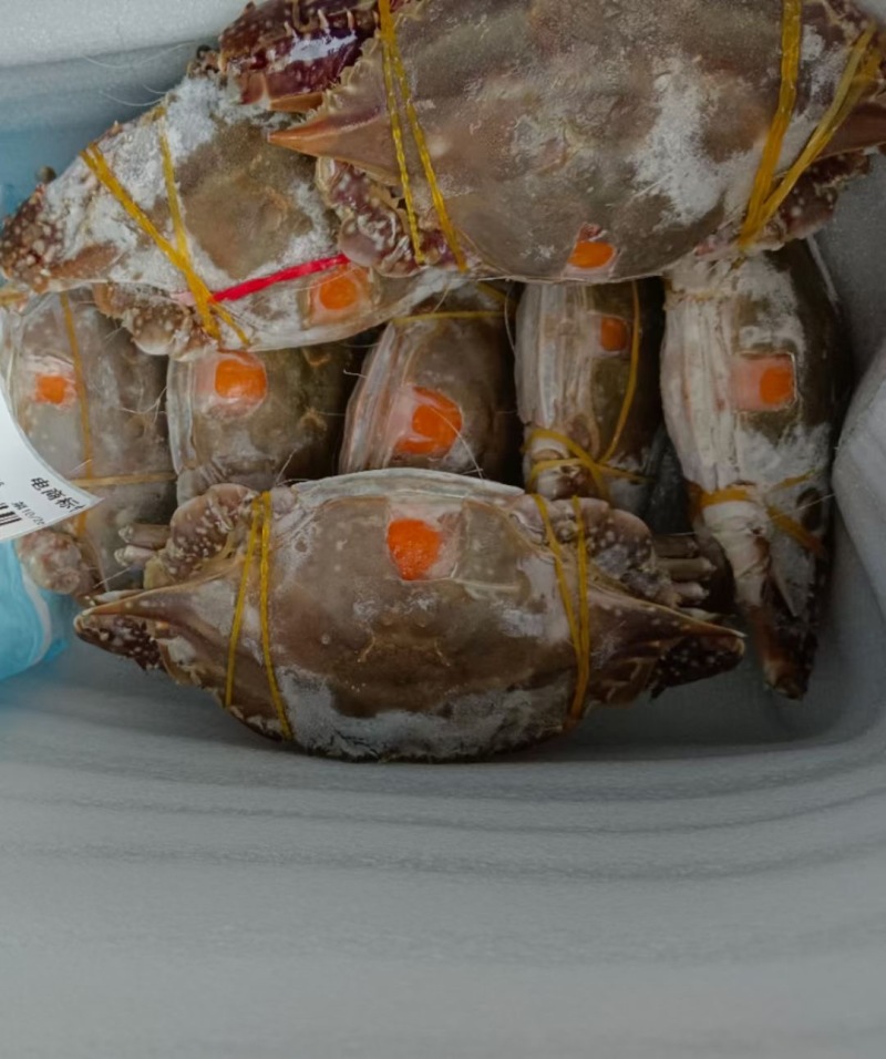 满黄满膏大母梭子蟹，专业线下团购和高端餐饮订制蟹