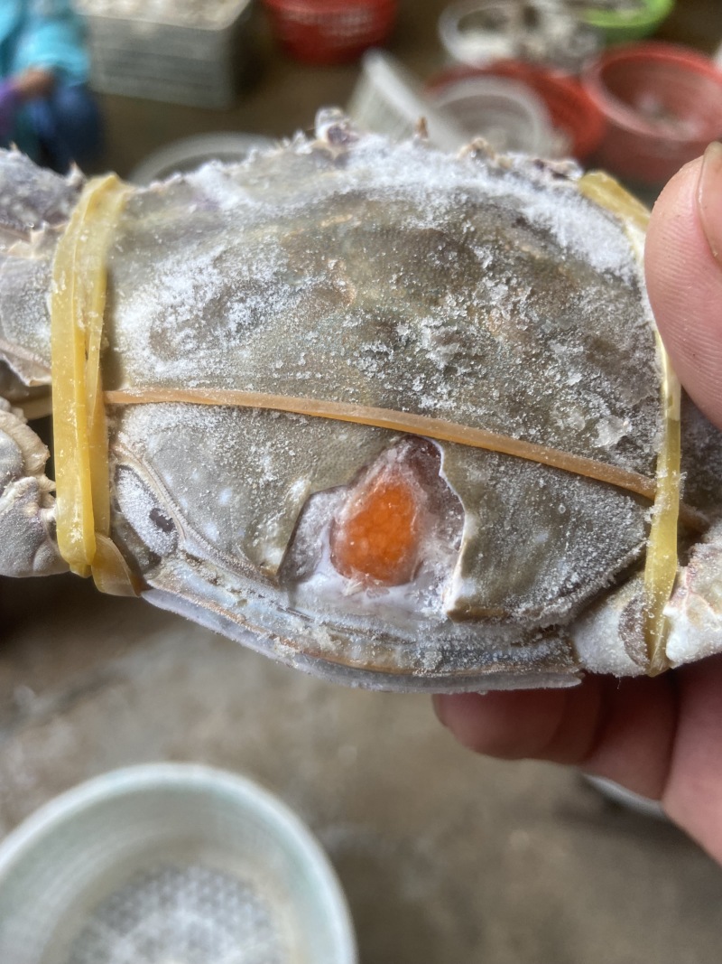 满黄满膏大母梭子蟹，专业线下团购和高端餐饮订制蟹