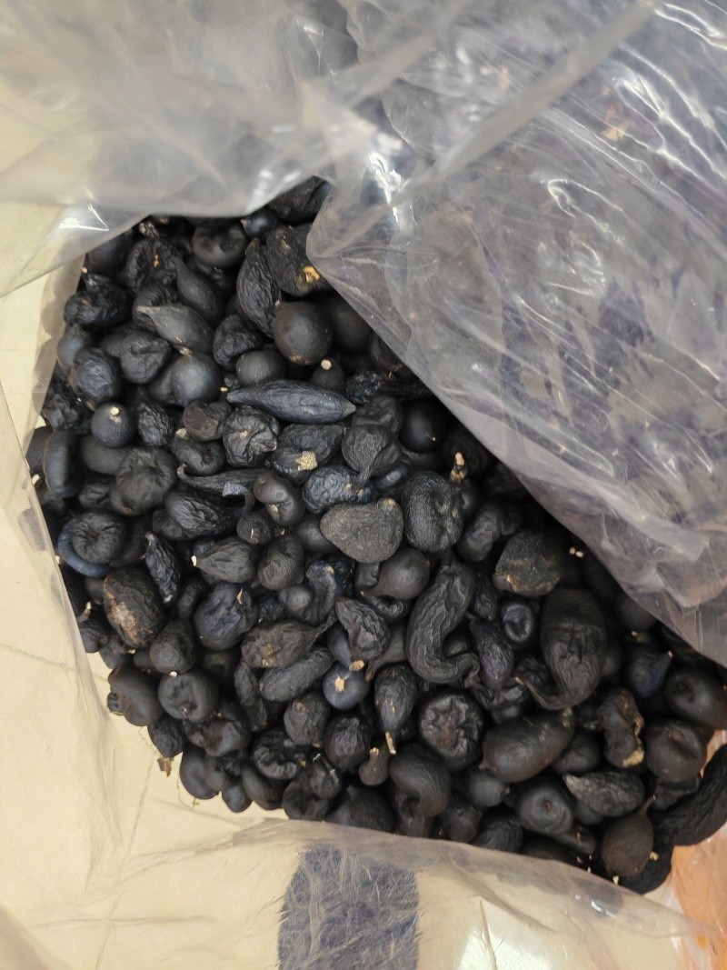 乌灵参鸡枞胆产地批发一件代发