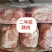 肥猪2号肉卷