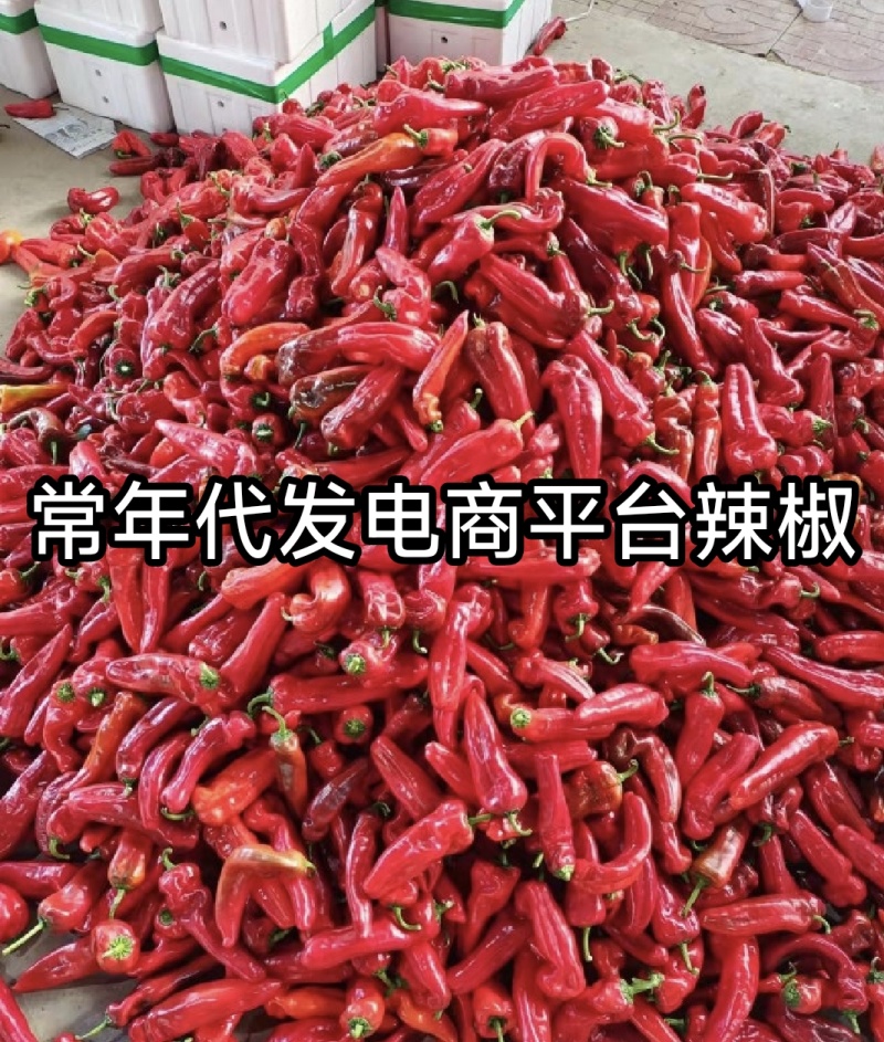 常年代发各大电商平台蔬菜辣椒