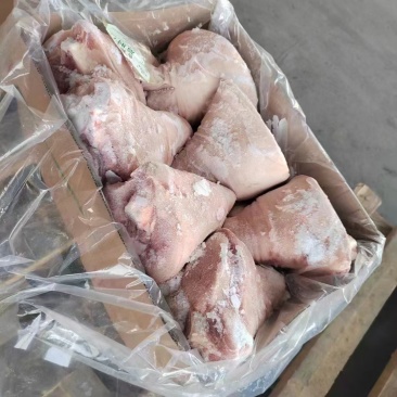 肥猪10个前肘
