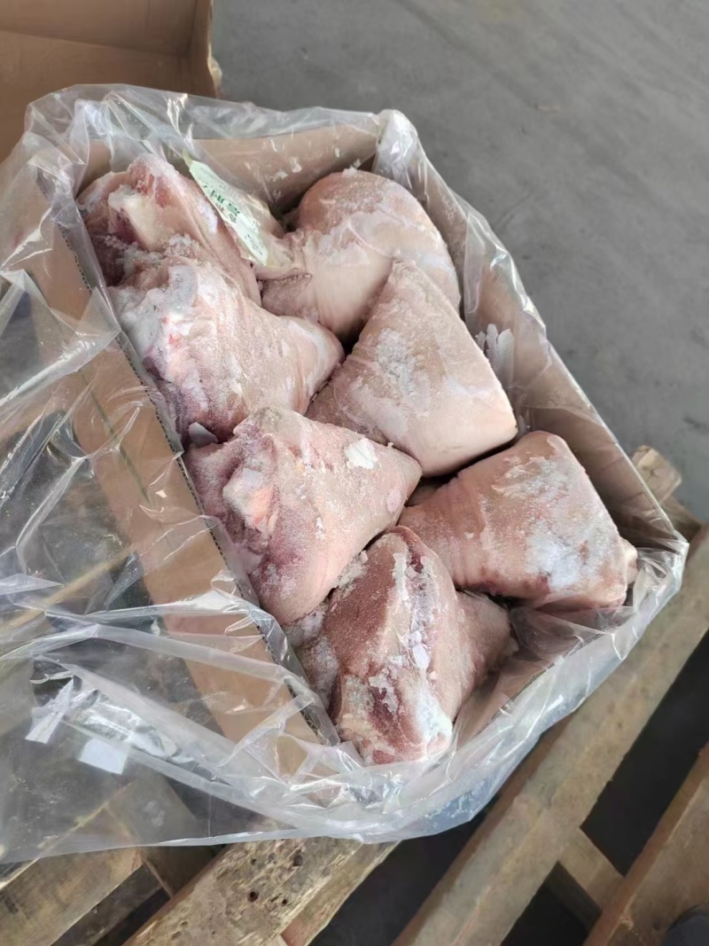 肥猪10个前肘