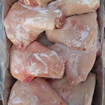 肥猪6个后肘