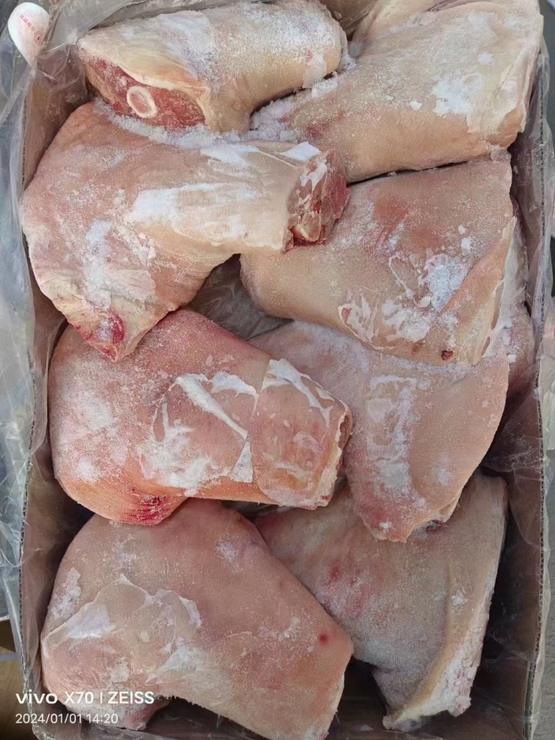 肥猪6个后肘