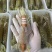 全母带膏熟冻皮皮虾带籽濑尿批发虾爬子【质量**】