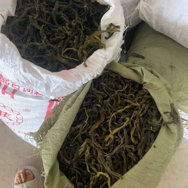 纯干豆角/干豆角/架豆老壳/电商团购一件批发价大量有货