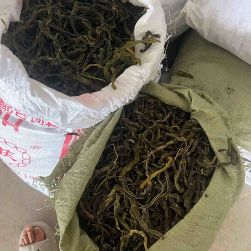 纯干豆角/干豆角/架豆老壳/电商团购一件批发价大量有货