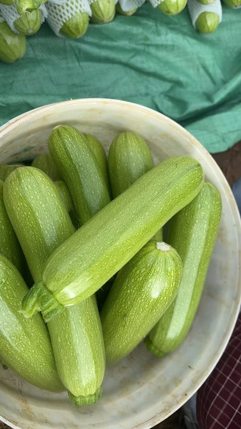西葫芦，小瓜，大量有货