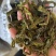 纯干豆角/干豆角/架豆老壳/电商团购一件批发价大量有货