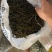 纯干豆角/干豆角/架豆老壳/电商团购一件批发价大量有货