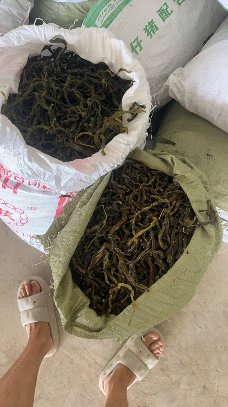 纯干豆角/干豆角/架豆老壳/电商团购一件批发价大量有货