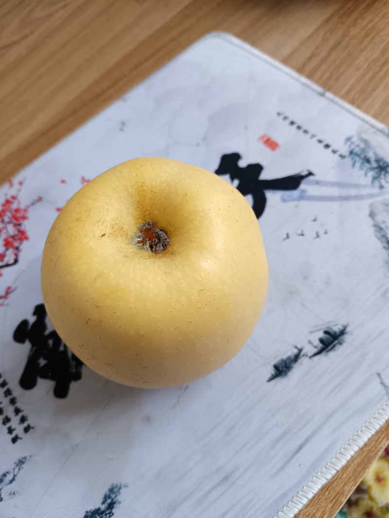 烟台黄金维纳斯苹果