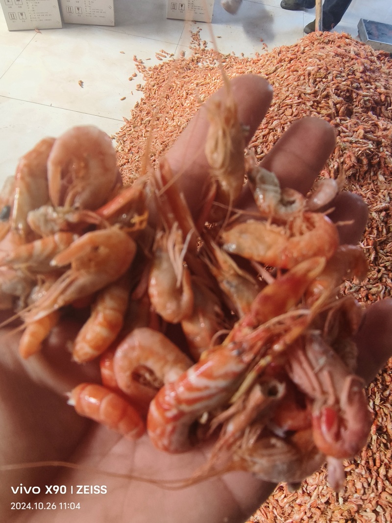 味道鲜美的大个头爪虾，原色原味肉质鲜嫩