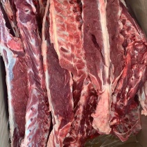 （河北供货）羊蝎子，价格便宜，满肉。饭店，电商。专用。