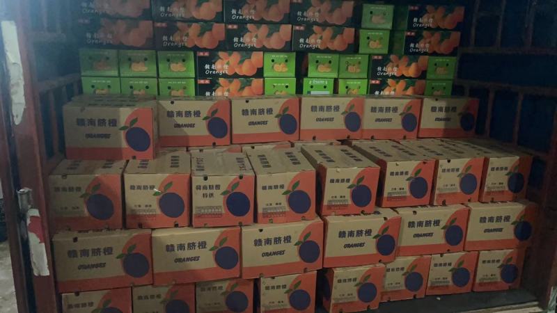 整车对接各大市场，商超，平板大军，电商抖音各大平台一件代
