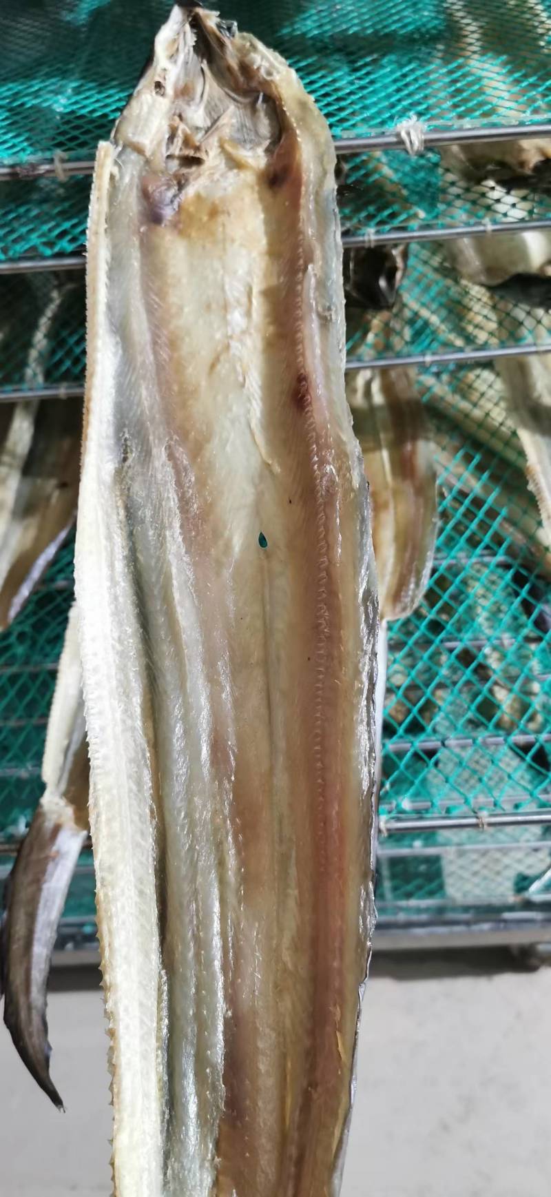 淡干鳗鱼干